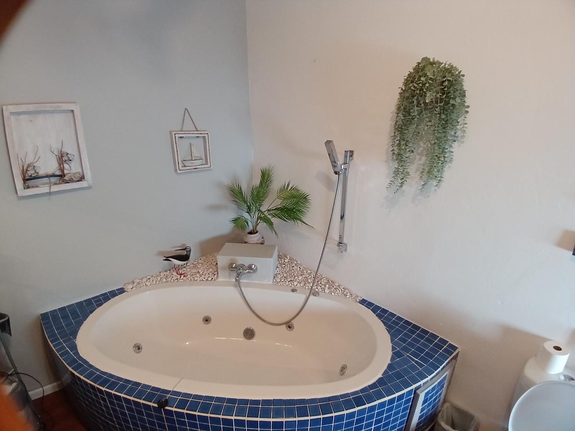 Ons Stee Bed And Breakfast Wellington Zewnętrze zdjęcie